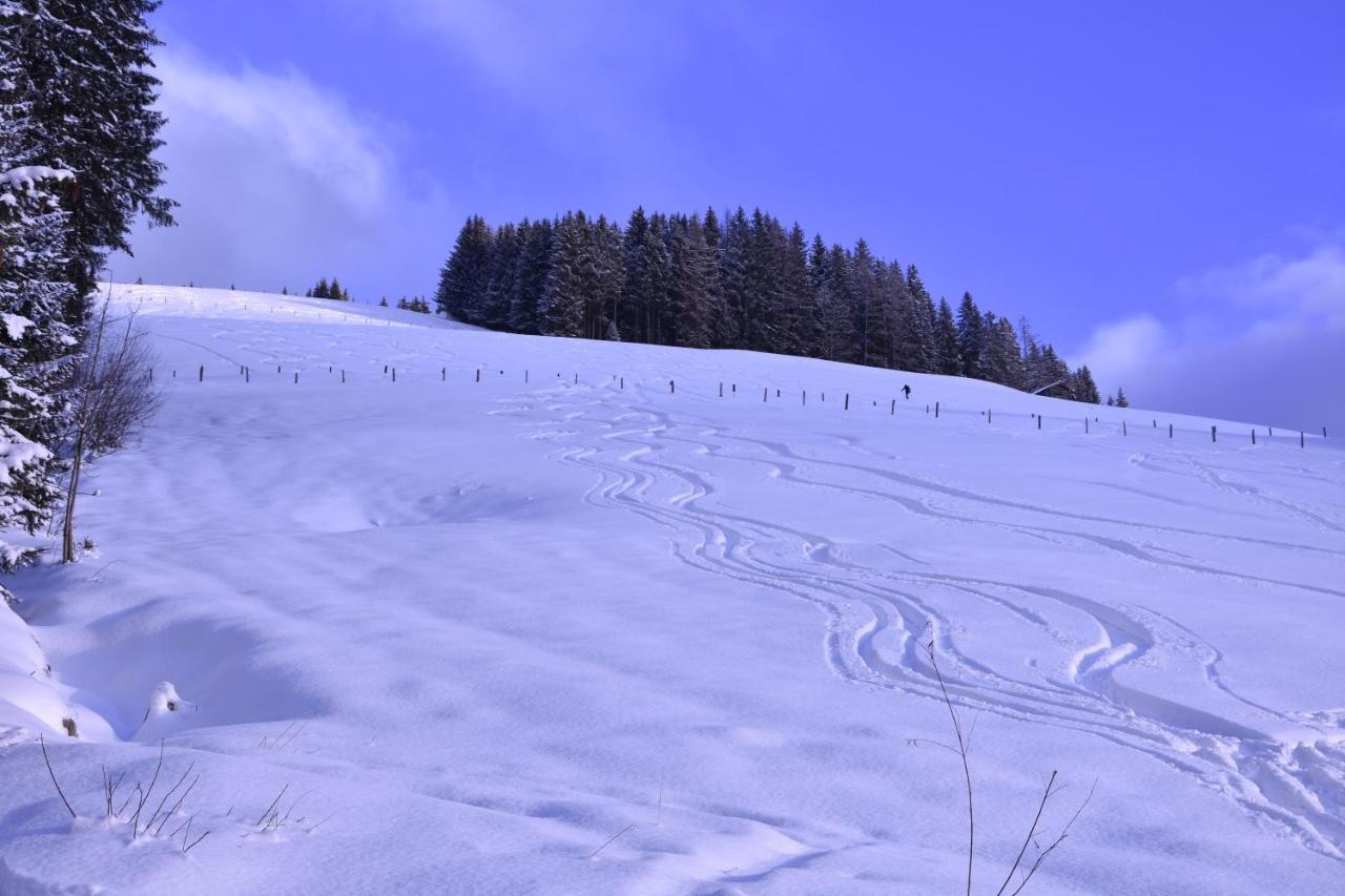 Landhotel Anna Sankt Martin am Tennengebirge Luaran gambar