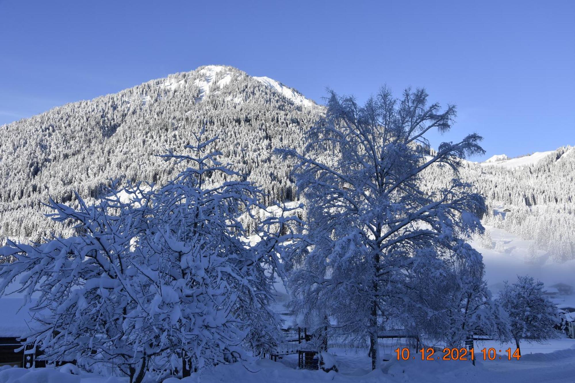 Landhotel Anna Sankt Martin am Tennengebirge Luaran gambar