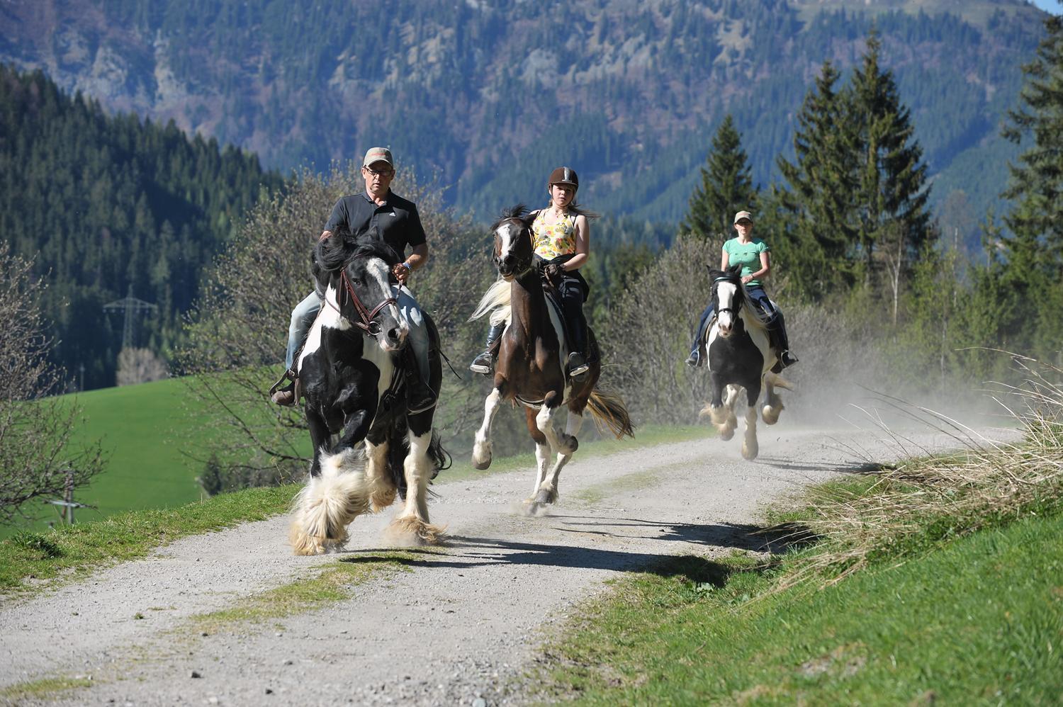 Landhotel Anna Sankt Martin am Tennengebirge Luaran gambar